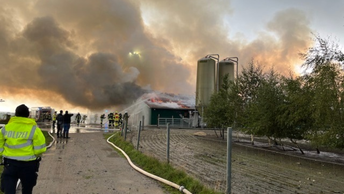 POL-CUX: Brand eines großen Stallgebäudes in Lüdingworth-Köstersweg - Keine verletzten Personen oder Tiere, jedoch enormer Sachschaden(Lichtbild in der Anlage) - Foto: presseportal.de