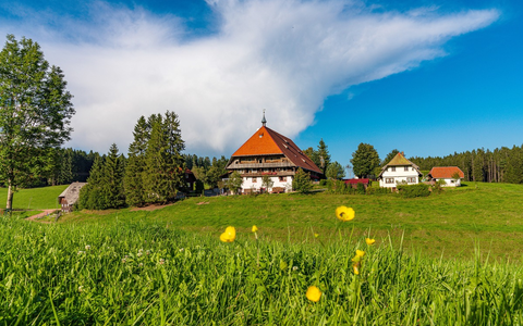 30 Jahre: Die Fallers feiern Jubiläum - Foto: presseportal.de