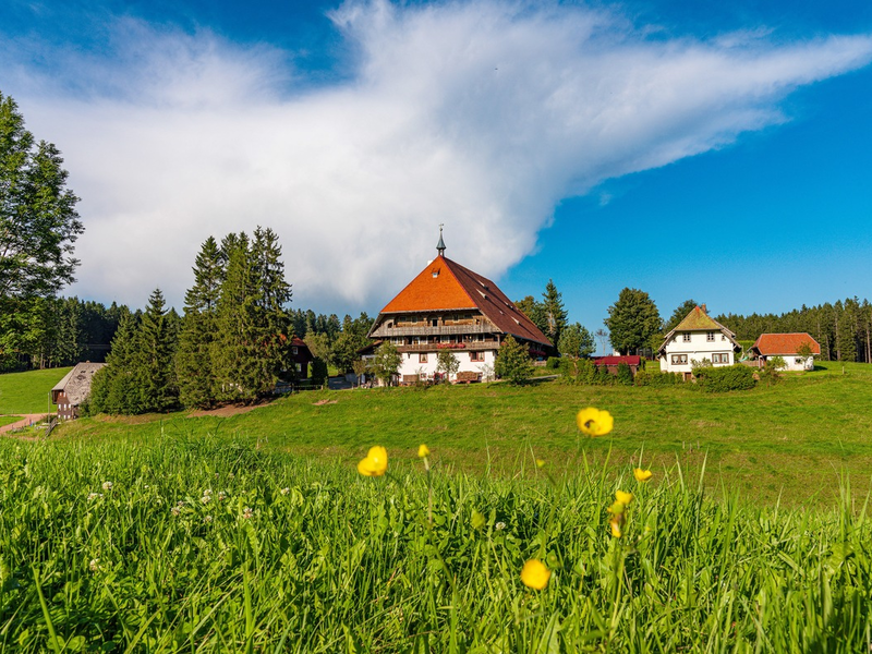 30 Jahre: Die Fallers feiern Jubiläum - Foto: presseportal.de