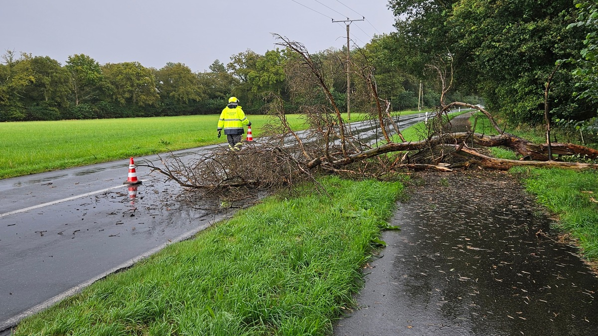 FW Hünxe: Baum blockiert Straße und Radweg - Foto: presseportal.de