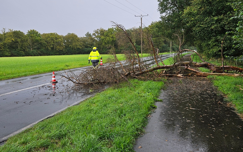 FW Hünxe: Baum blockiert Straße und Radweg - Foto: presseportal.de