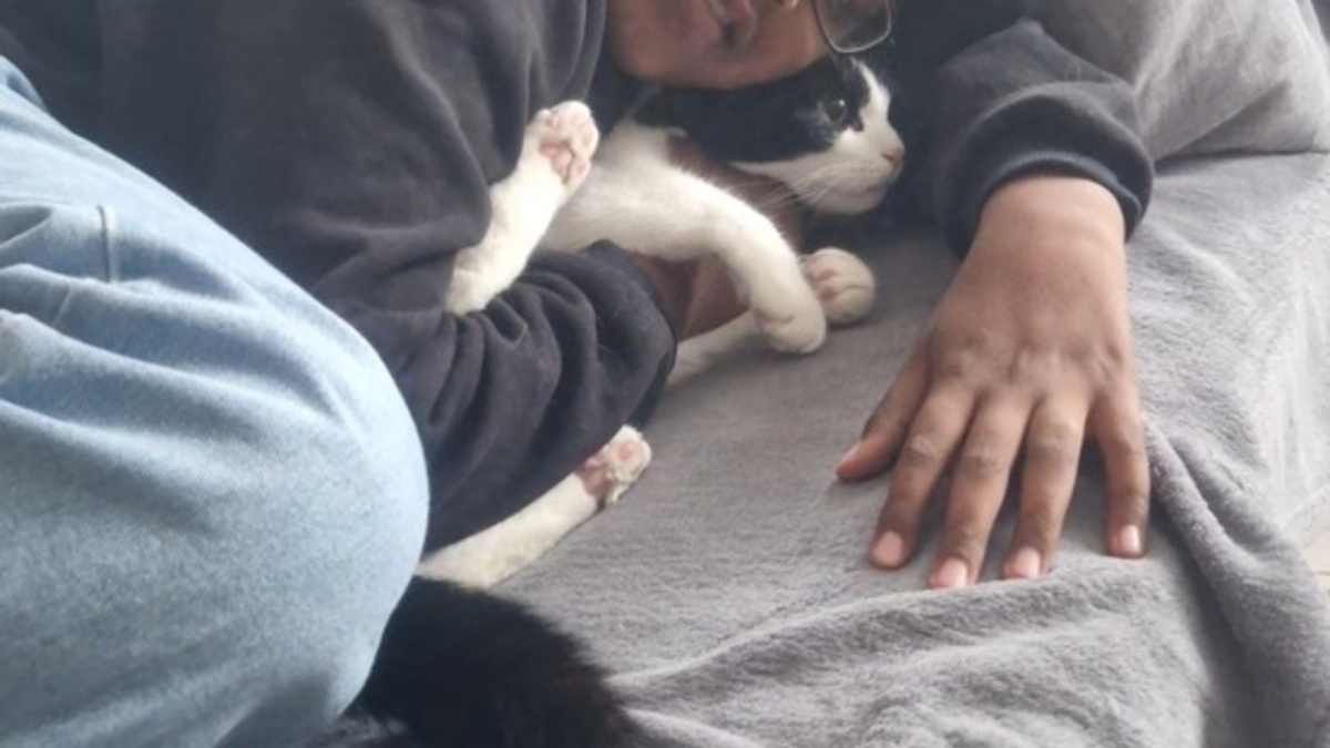 POL-H: 14-jähriger Ibrahim M. aus Hannover-Vahrenwald/List vermisst - Polizei bittet um Mithilfe und veröffentlicht Fotos - Foto: presseportal.de