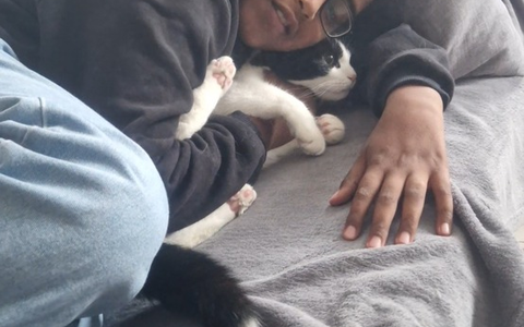 POL-H: 14-jähriger Ibrahim M. aus Hannover-Vahrenwald/List vermisst - Polizei bittet um Mithilfe und veröffentlicht Fotos - Foto: presseportal.de