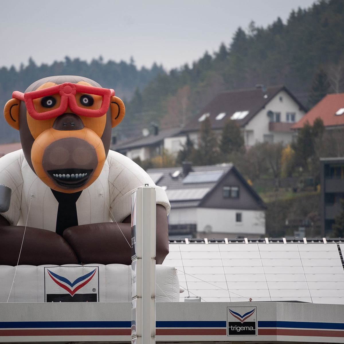 Auch aufgeblasen gibt es den Trigema-Affen - hier auf dem Dach der Firmenzentrale in Burladingen. - Foto: Sebastian Gollnow/dpa