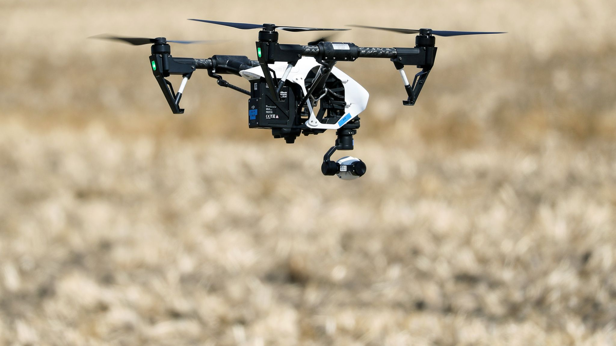Auch Drohnen haben hierzulande zuletzt Militärstandorte überflogen. (Archivbild)  - Foto: Jan Woitas/dpa-Zentralbild/dpa