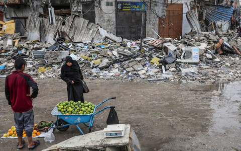 Bis zu 96 Prozent des Landwirtschaftssektors ist im Gazastreifen zerstört (Archivbild) - Foto: Mohammed Hajjar/AP/dpa