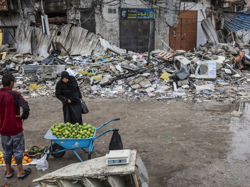 Bis zu 96 Prozent des Landwirtschaftssektors ist im Gazastreifen zerstört (Archivbild) - Foto: Mohammed Hajjar/AP/dpa
