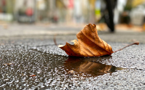 Wetterumschwung: Regen, Sturm und Schnee in Deutschland - Foto: Henrich Linda/dpa