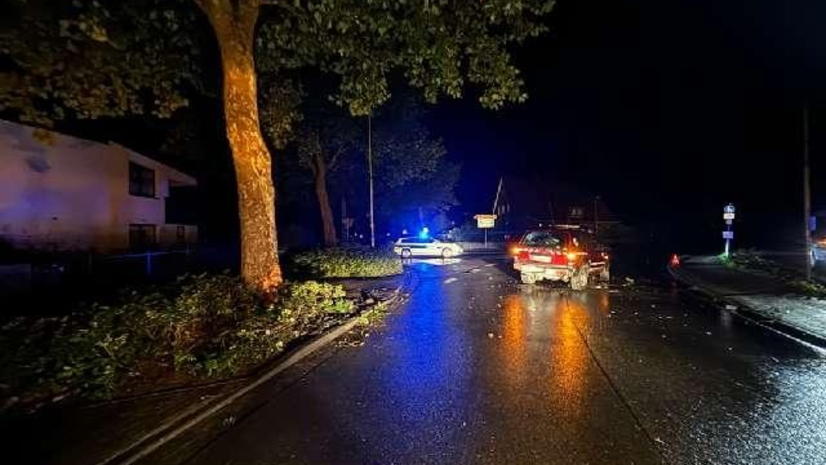 POL-WHV: Verkehrsunfall in Jever: Totalschaden und Beifahrerin leicht verletzt - Foto: presseportal.de