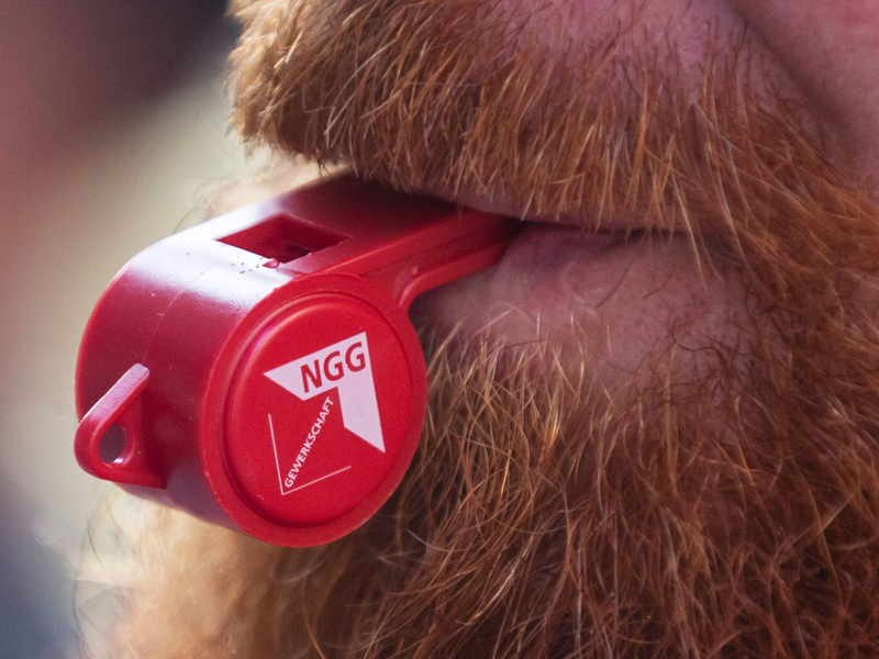 Die Gewerkschaft NGG ruft Beschäftigte in der Systemgastronomie zu Warnstreiks auf. - Foto: Christoph Soeder/dpa