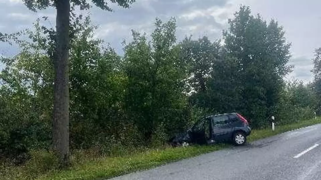 POL-HI: Schwerer Baumunfall fordert eine schwerverletzte Person - Bild: presseportal.de