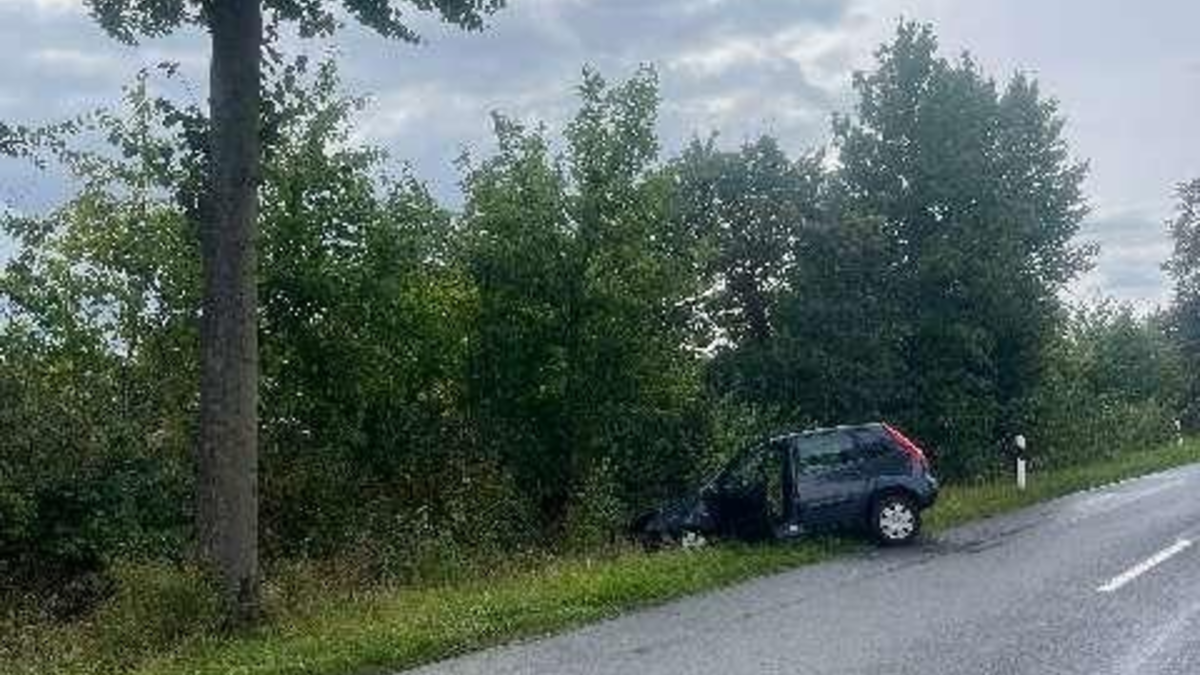POL-HI: Schwerer Baumunfall fordert eine schwerverletzte Person - Foto: presseportal.de