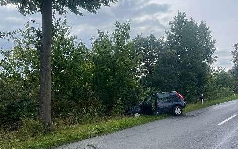 POL-HI: Schwerer Baumunfall fordert eine schwerverletzte Person - Foto: presseportal.de