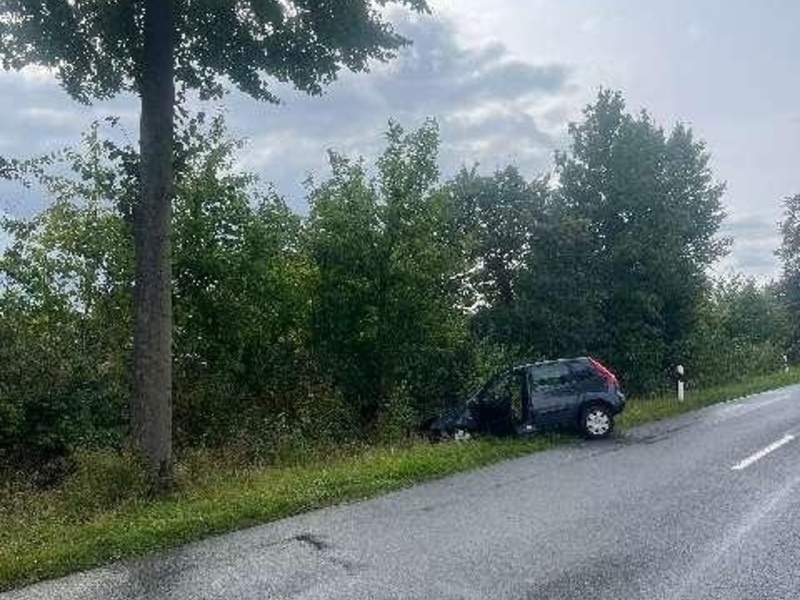 POL-HI: Schwerer Baumunfall fordert eine schwerverletzte Person - Foto: presseportal.de
