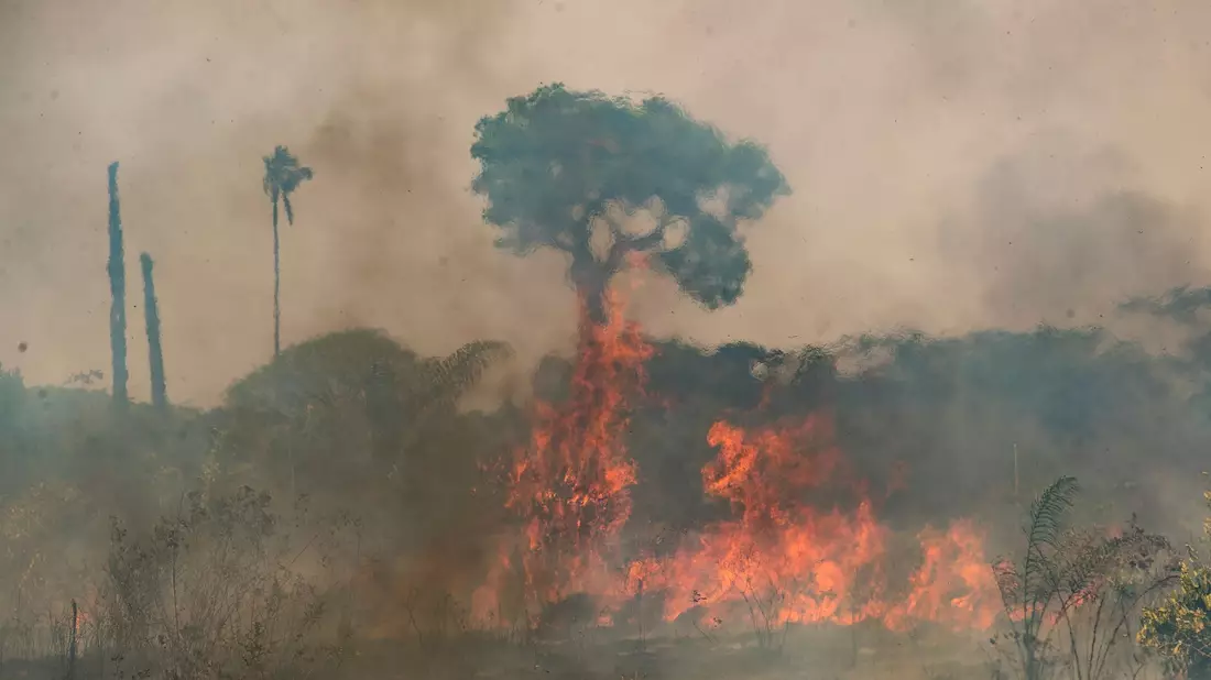 Im brasilianischen Amazonasgebiet toben die schwersten Brände seit fast 20 Jahren.  - Bild: Andre Penner/AP/dpa