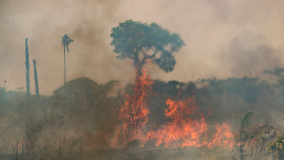 Im brasilianischen Amazonasgebiet toben die schwersten Brände seit fast 20 Jahren.  - Foto: Andre Penner/AP/dpa