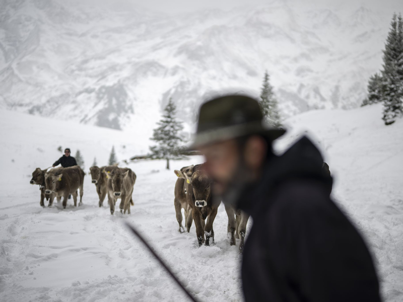 So kalt war es in der ersten Septemberhälfte mancherorts noch nie seit Messbeginn. - Foto: Gian Ehrenzeller/KEYSTONE/dpa
