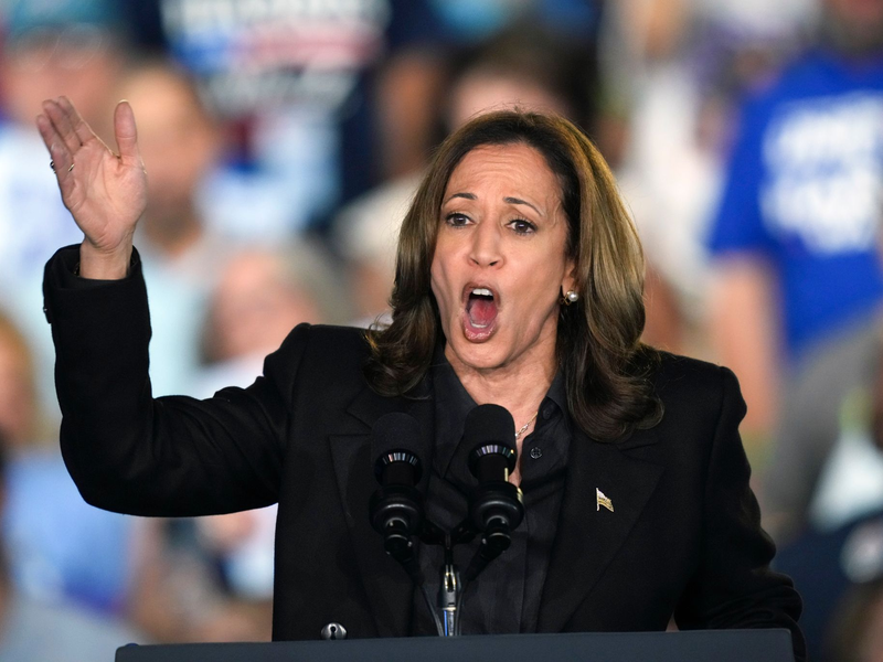 Harris hält Trump für zunehmend instabil.  - Foto: Matt Rourke/AP/dpa