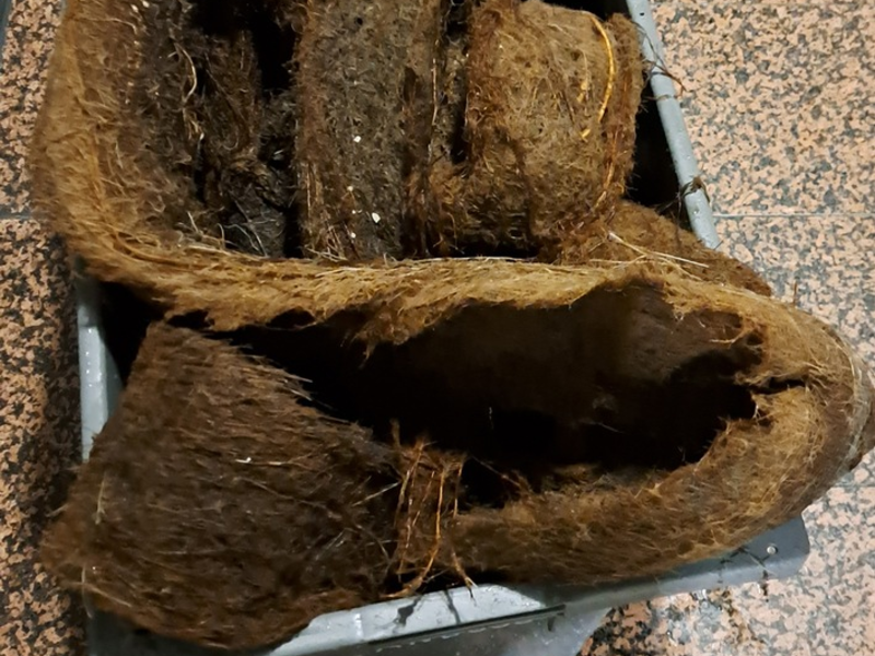 FW-M: Wurzelgeflecht verstopft Dachentwässerung (Haidhausen) - Foto: presseportal.de