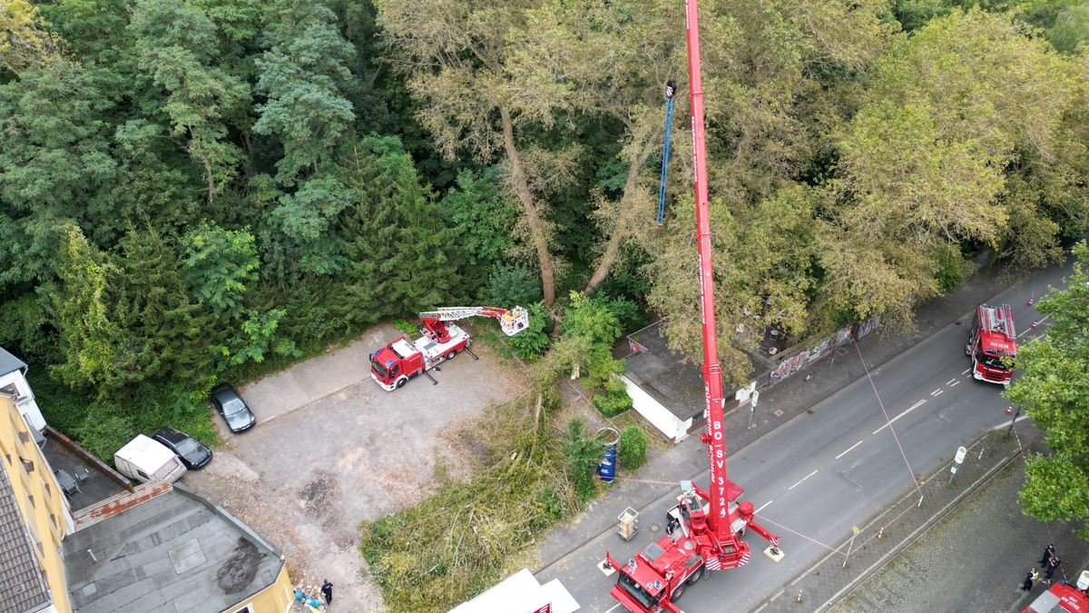 FW-BO: Abgebrochener Baum verursacht längeren Feuerwehreinsatz - Foto: presseportal.de