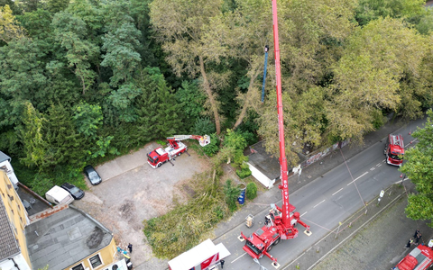 FW-BO: Abgebrochener Baum verursacht längeren Feuerwehreinsatz - Foto: presseportal.de