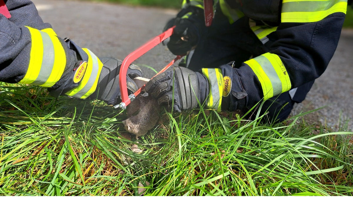 FW-M: Das dicke Ende kommt zum Schluss (Pasing) - Foto: presseportal.de