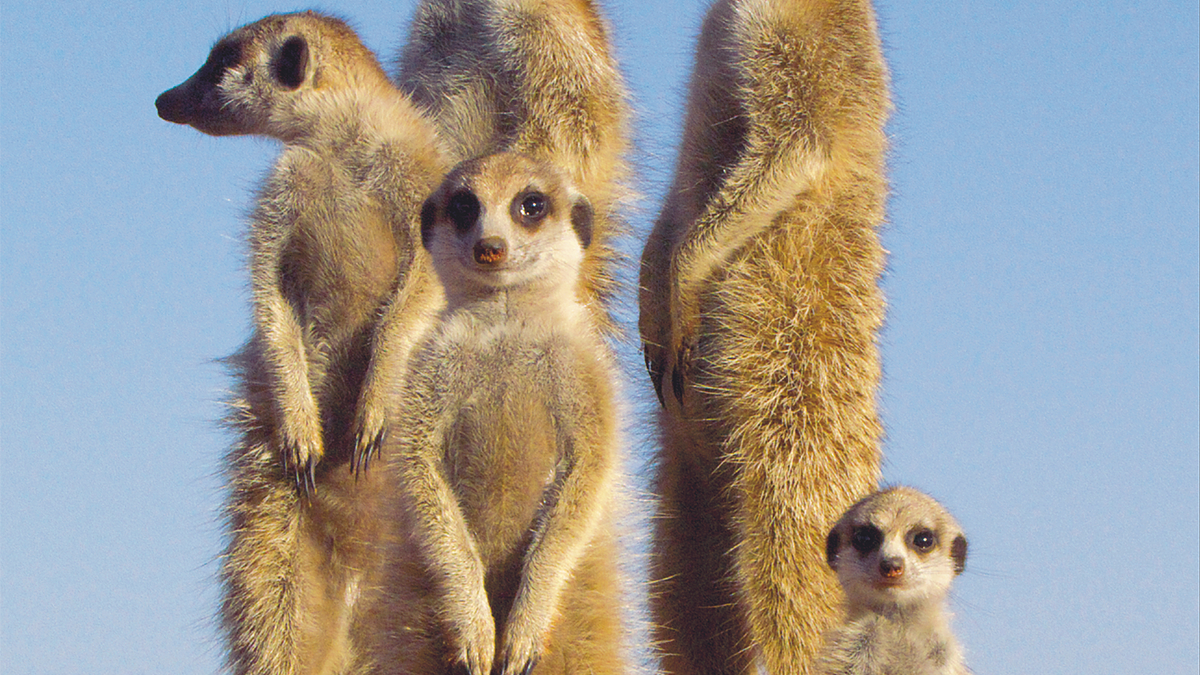  - Foto: Maleika Film GmbH über pressetext.de