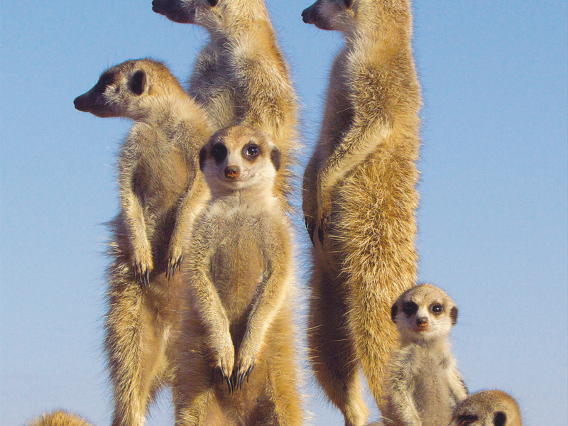  - Foto: Maleika Film GmbH über pressetext.de