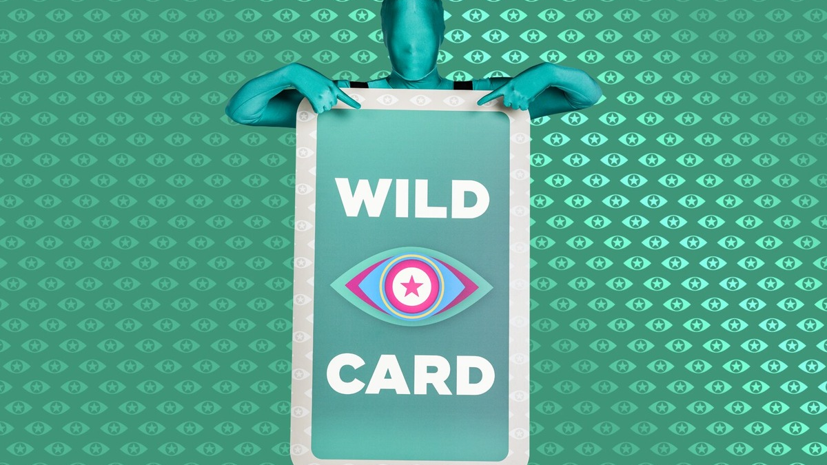 Wer zieht als Wildcard bei 
