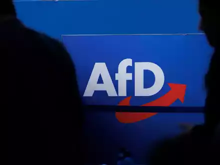 Die AfD geht gegen gerichtlich die Einstufung des Verfassungsschutzes vor.  - Foto: Carsten Koall/dpa