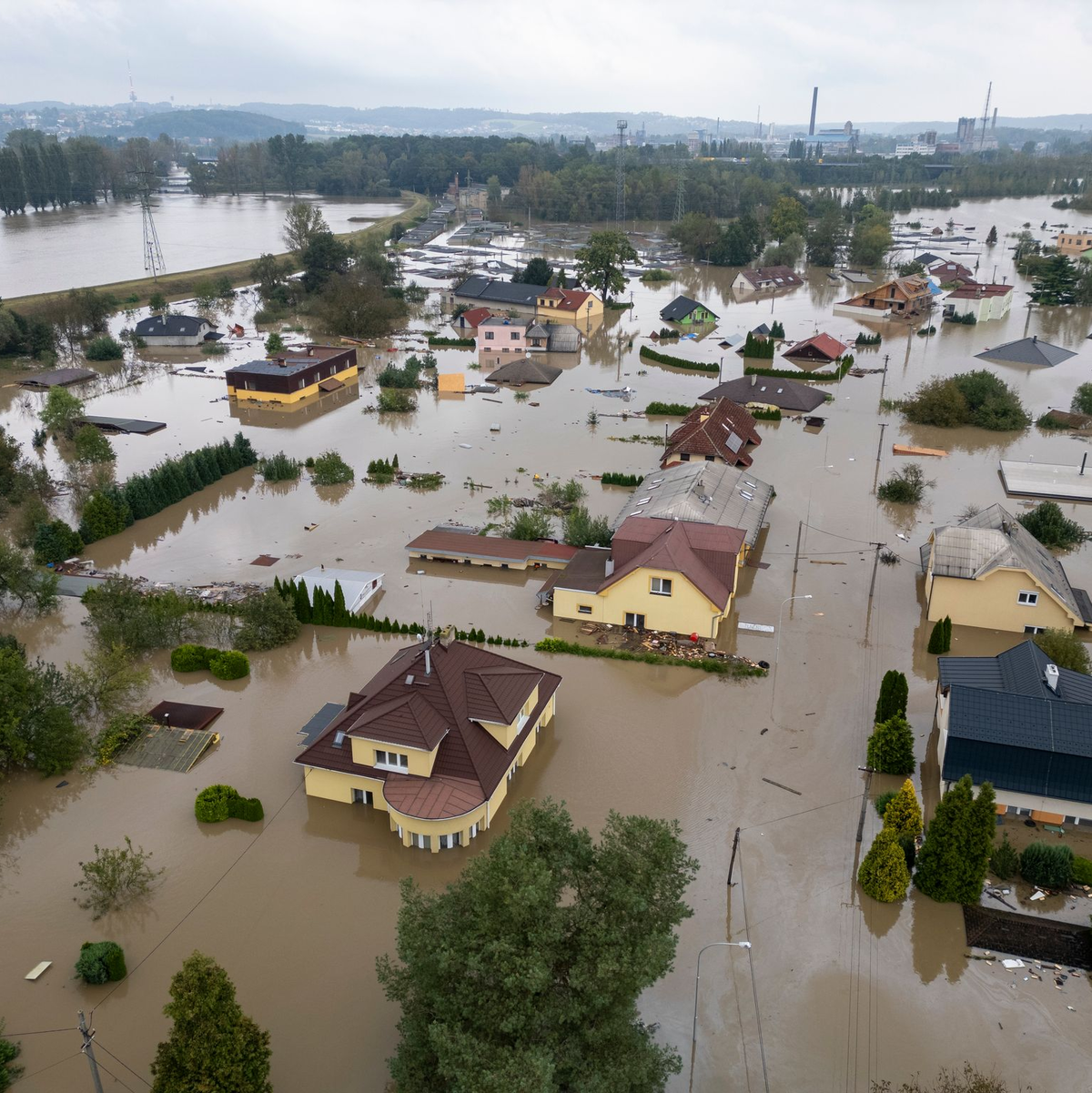 In Tschechien sind auch Tiere vom Hochwasser betroffen. - Foto: Darko Bandic/AP/dpa