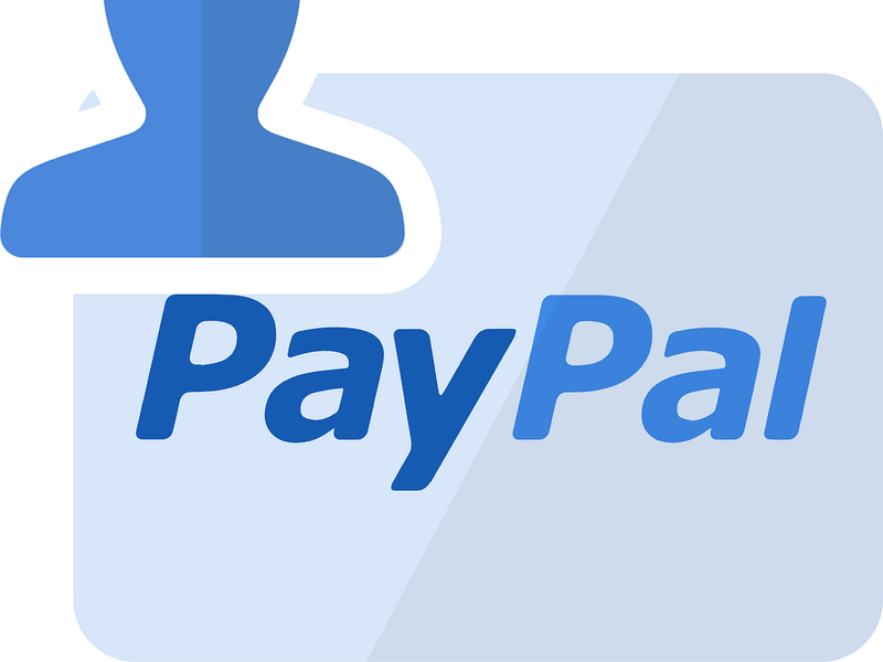 Als global agierender Zahlungsdienstleister prägt PayPal den digitalen Wandel und den Ausbau des E-Commerce maßgeblich mit.  - Foto: : WeDevelops @ pixabay.com 