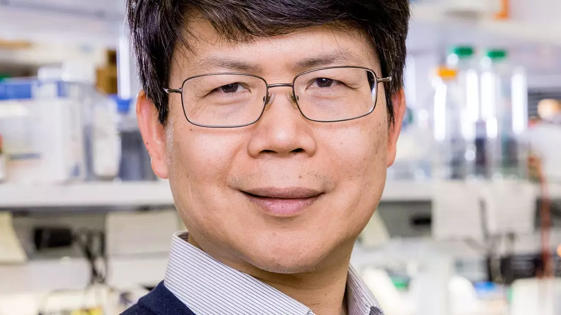 James Zhijian Chen  wird 2025 den Paul Ehrlich- und Ludwig Darmstaedter-Preis bekommen. - Bild: Mei-Chun Jau/UT Southwestern Medical Center-/dpa
