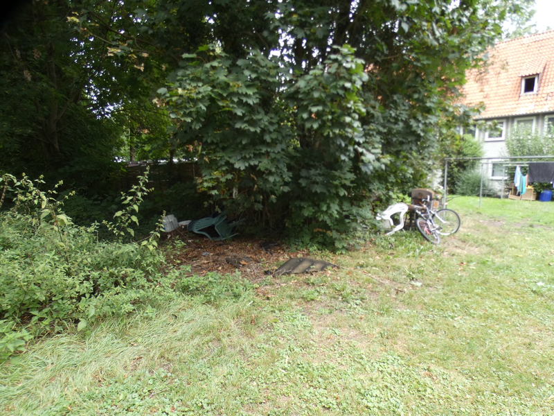 POL-SZ: Pressemitteilung der Polizeiinspektion SZ/PE/WF vom 17.09.2024. - Foto: presseportal.de