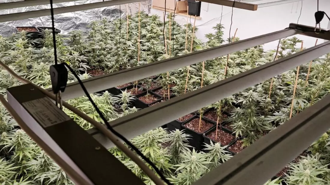 ZOLL-H: Durchsuchungsmaßnahmen wegen des Verdachts des bandenmäßigen Handels mit Betäubungsmitteln und Cannabisprodukten in nicht geringer Menge in der Region Wilhelmshaven/Friesland - Bild: presseportal.de