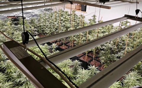 POL-OL: +++ Durchsuchungsmaßnahmen wegen des Verdachts des bandenmäßigen Handels mit Betäubungsmitteln und Cannabisprodukten in nicht geringer Menge in der Region Wilhelmshaven/Friesland +++ - Foto: presseportal.de
