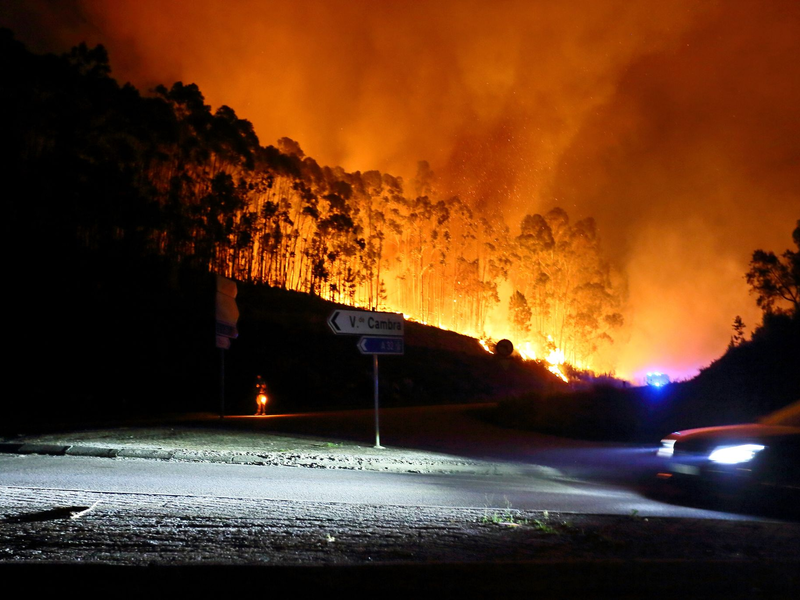 Weniger Wind, steigende Luftfeuchtigkeit und vor allem die AnkĂŒndigung von Regen machten den Menschen Hoffnung auf ein Ende der vielen BrĂ€nde. - Foto: Bruno Fonseca/AP/dpa