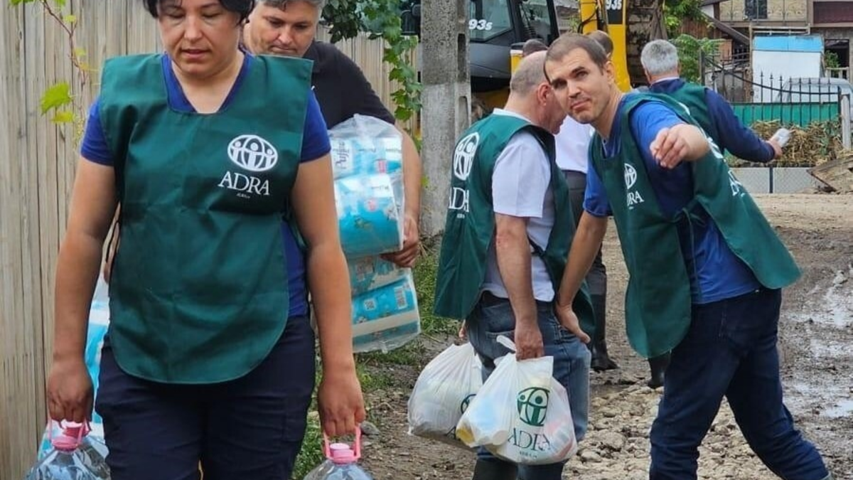 Flut in Europa: Bündnisorganisationen von 