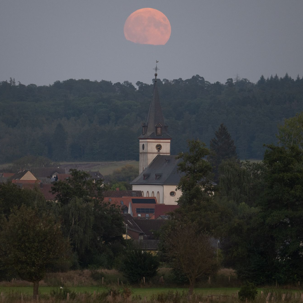 Wegen seiner nicht kreisrunden Umlaufbahn gab es einen Vollmond besonders nah an unserem Heimatplaneten - entsprechend wirkte er ungewöhnlich groß, wie am Abend hier im Taunus. - Foto: Boris Roessler/dpa