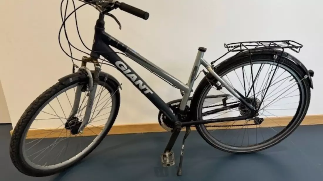 POL-STD: Serie von Geschäftsaufbrüchen in Buxtehuder Innenstadt - Polizei sucht Zeugen, Fahrradeigentümer gesucht, Zeugen für versuchten Raub in Stade gesucht - Bild: presseportal.de