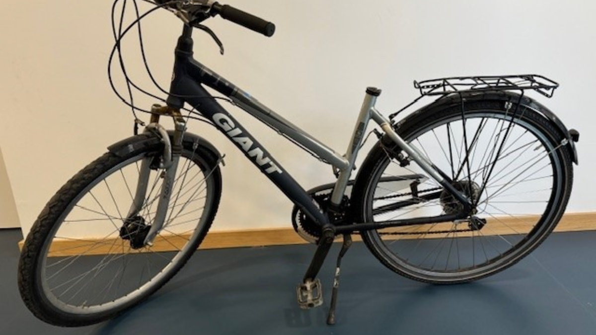 POL-STD: Serie von Geschäftsaufbrüchen in Buxtehuder Innenstadt - Polizei sucht Zeugen, Fahrradeigentümer gesucht, Zeugen für versuchten Raub in Stade gesucht - Foto: presseportal.de