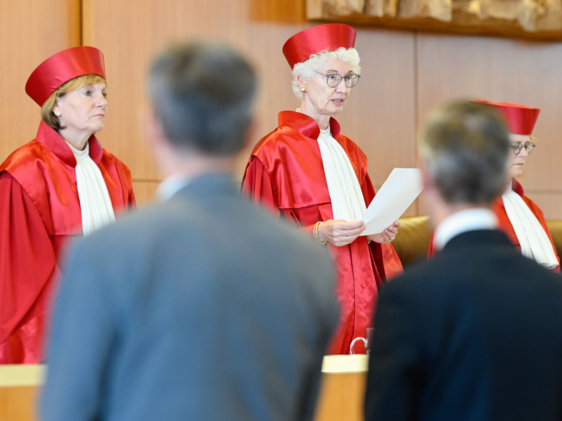 Lars Castellucci (l, SPD) und Christoph Hoffmann (r, FDP) leiten derzeit als Stellvertreter zwei Ausschüsse. - Foto: Uwe Anspach/dpa