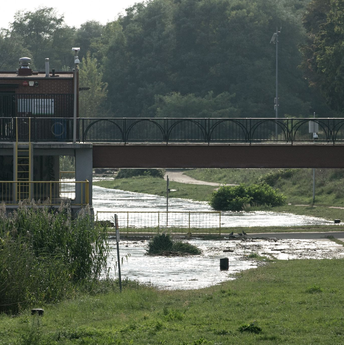 Die Hochwasserwelle in der Oder hat die niederschlesische Stadt Breslau erreicht. (Foto aktuell) - Foto: Krzysztof Cwik/PAP/dpa