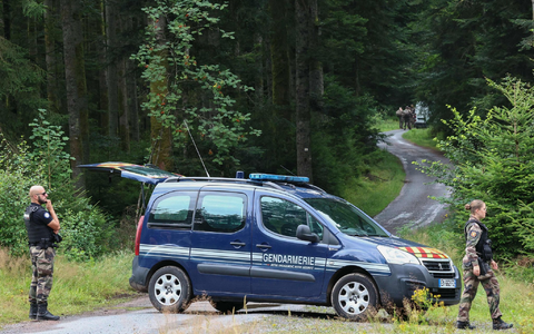 Waldgebiete in den Vogesen wurden aufwendig durchsucht. (Archivbild) - Foto: Frederick Florin/AFP/dpa