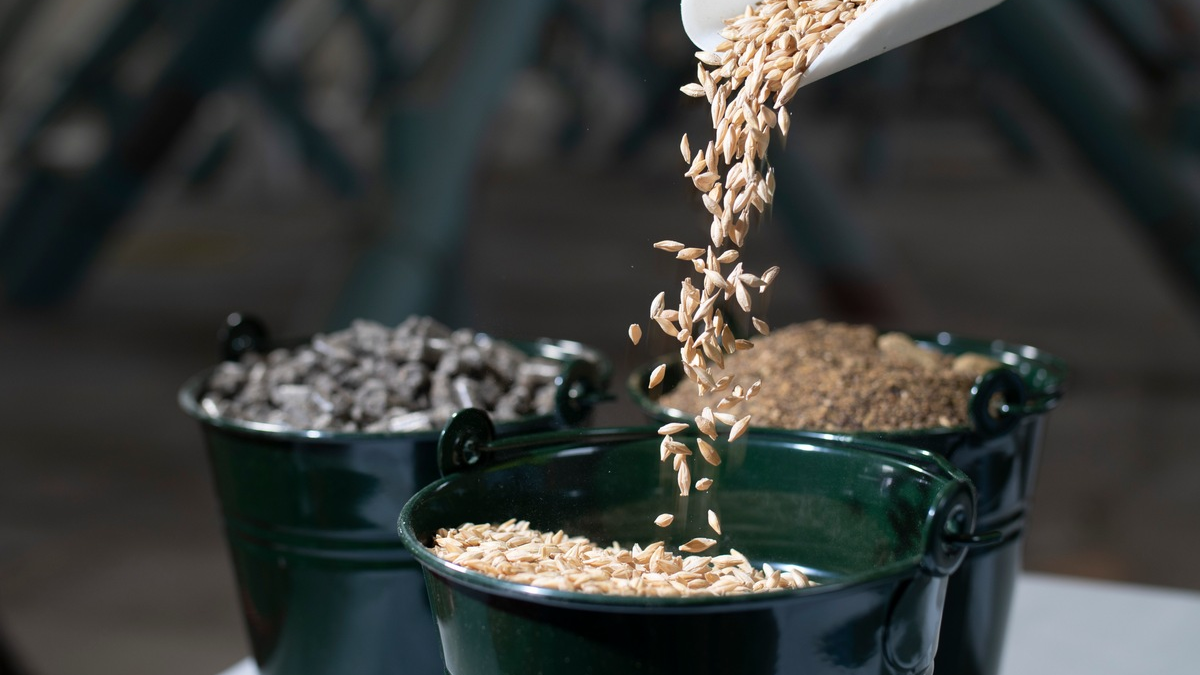 DVT-Präsident Schiplage: 