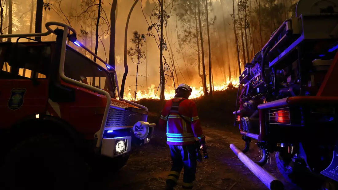 Fast 4.000 Feuerwehrleute und Helfer kämpfen oft bis zur völligen Erschöpfung gegen die Flammen. - Bild: Bruno Fonseca/AP