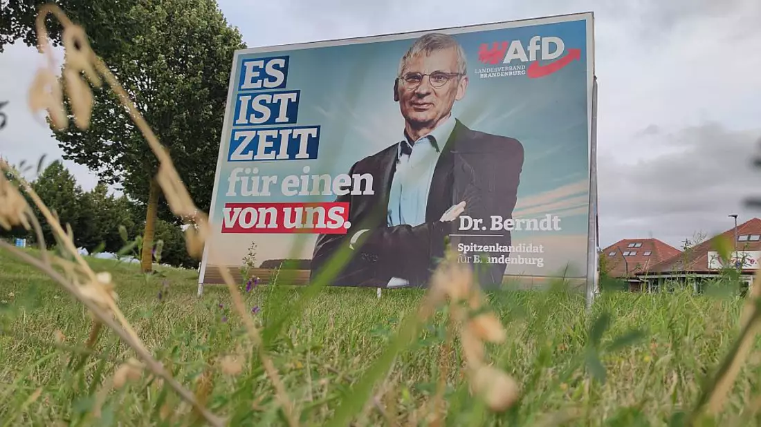 AfD-Wahlplakat mit Hans-Christoph Berndt zur Landtagswahl in Brandenburg (Archiv) - Bild: über dts Nachrichtenagentur