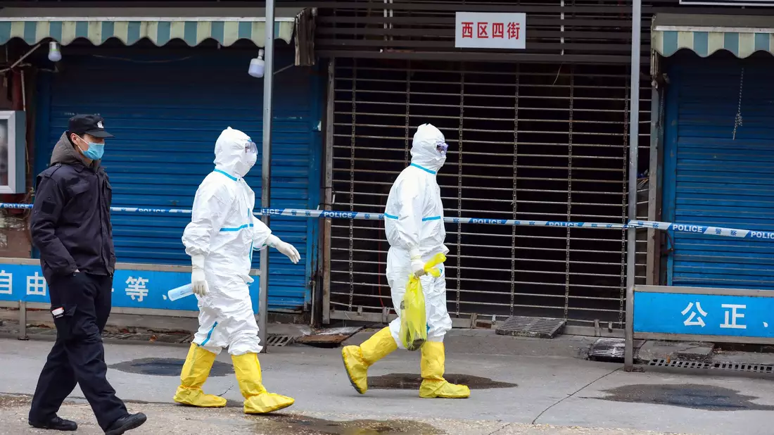 Arbeiter in Schutzkleidung tragen eine Tasche, in der sich ein Riesensalamander befindet, der vom Huanan Seafood Market entkommen sein soll. (Archivbild) - Bild: -/CHINATOPIX/AP/dpa