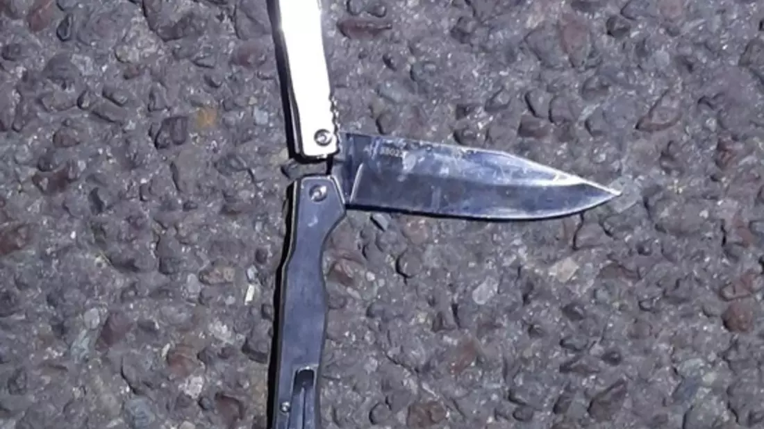 BPOLD-B: Festnahme nach Bedrohung mit Messer im RE 1 - Bild: presseportal.de