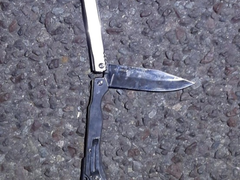 BPOLD-B: Festnahme nach Bedrohung mit Messer im RE 1 - Foto: presseportal.de